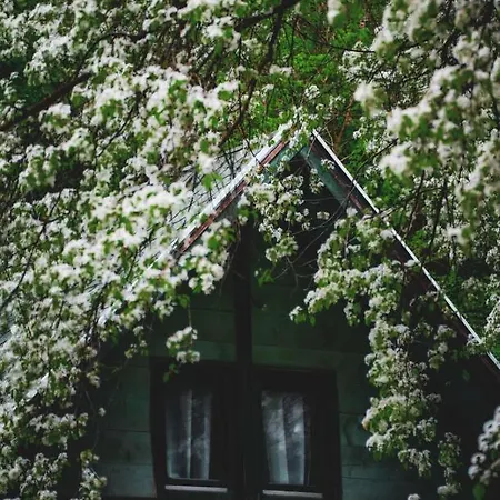 Vikendica,, Tadic,, Tatil Evi Ovcar Banja