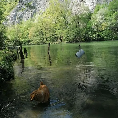 Vikendica,, Tadic,, Tatil Evi
